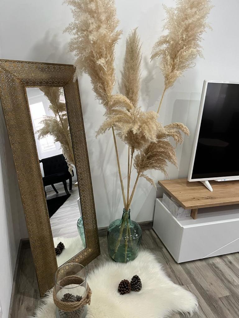 Colmar,Appart Chaleureux 2 Pas Centre Avec Jardin Habitación foto